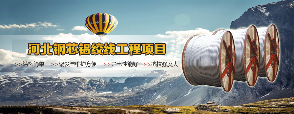 河北铝绞线厂家