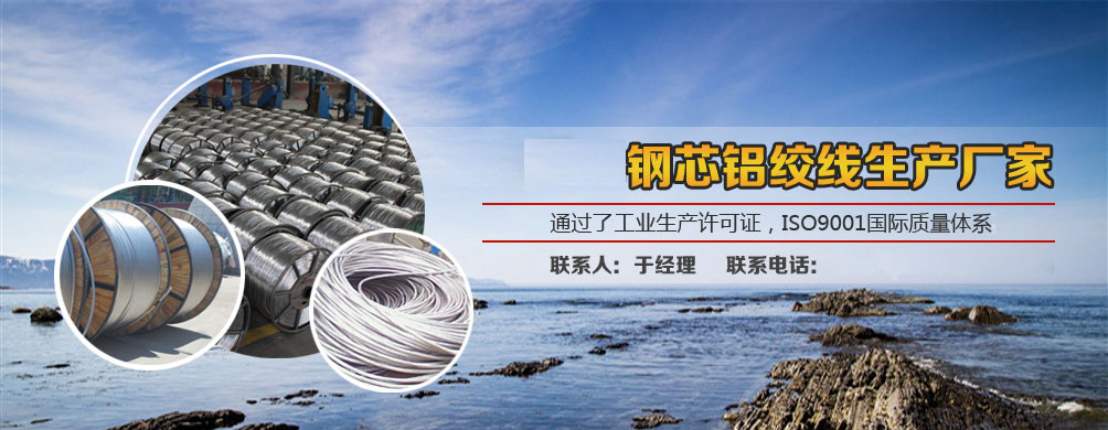 优秀钢芯铝绞线批发商